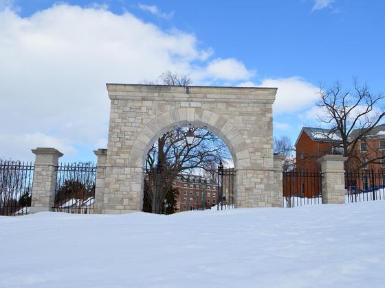 冬雪中的拱门.