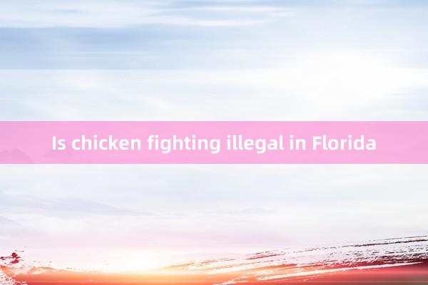 Is chicken fighting illegal in Florida