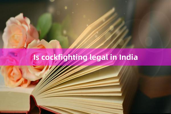 Is cockfighting legal in India