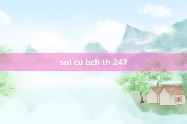 soi cu bch th 247