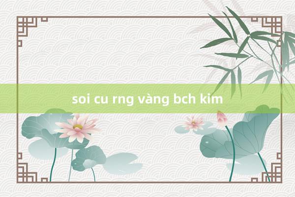 soi cu rng vàng bch kim