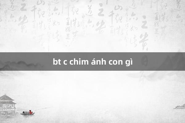 bt c chim ánh con gì