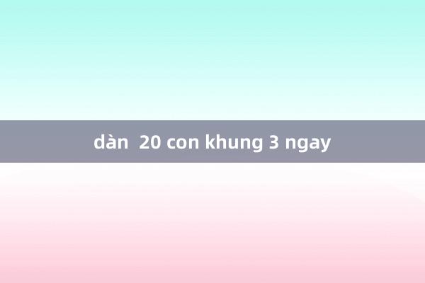 dàn  20 con khung 3 ngay