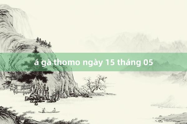 á gà thomo ngày 15 tháng 05