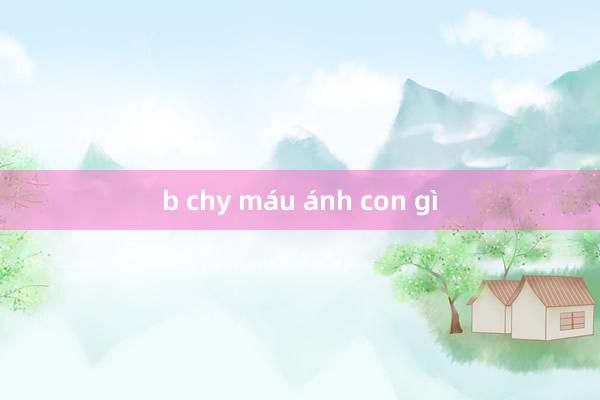 b chy máu ánh con gì