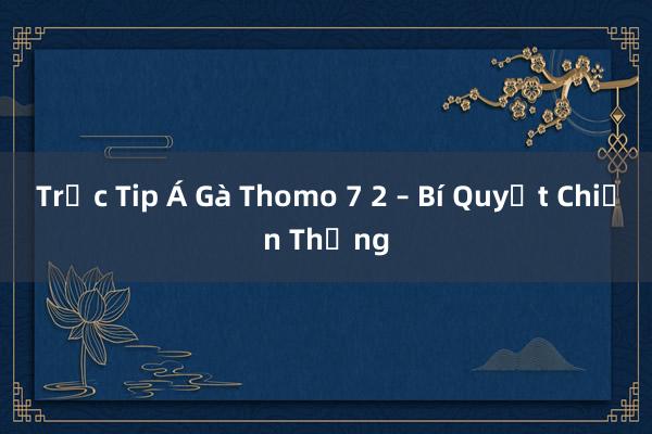 Trắc Tip Á Gà Thomo 7 2 – Bí Quyết Chiến Thắng