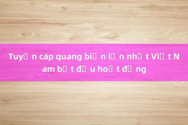 Tuyến cáp quang biển lớn nhất Việt Nam bắt đầu hoạt động