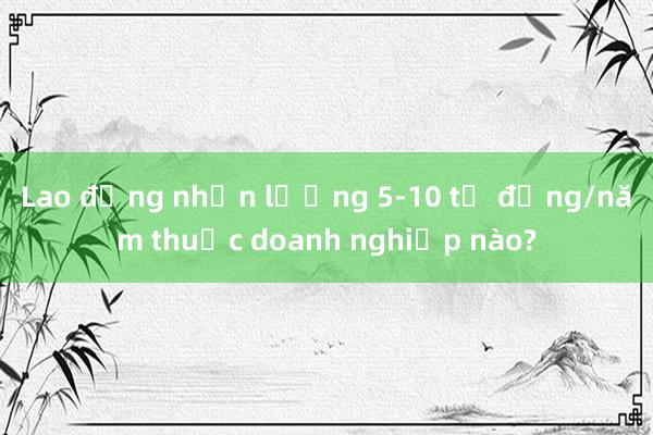 Lao động nhận lương 5-10 tỷ đồng/năm thuộc doanh nghiệp nào?