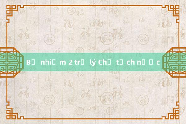 Bổ nhiệm 2 trợ lý Chủ tịch nước